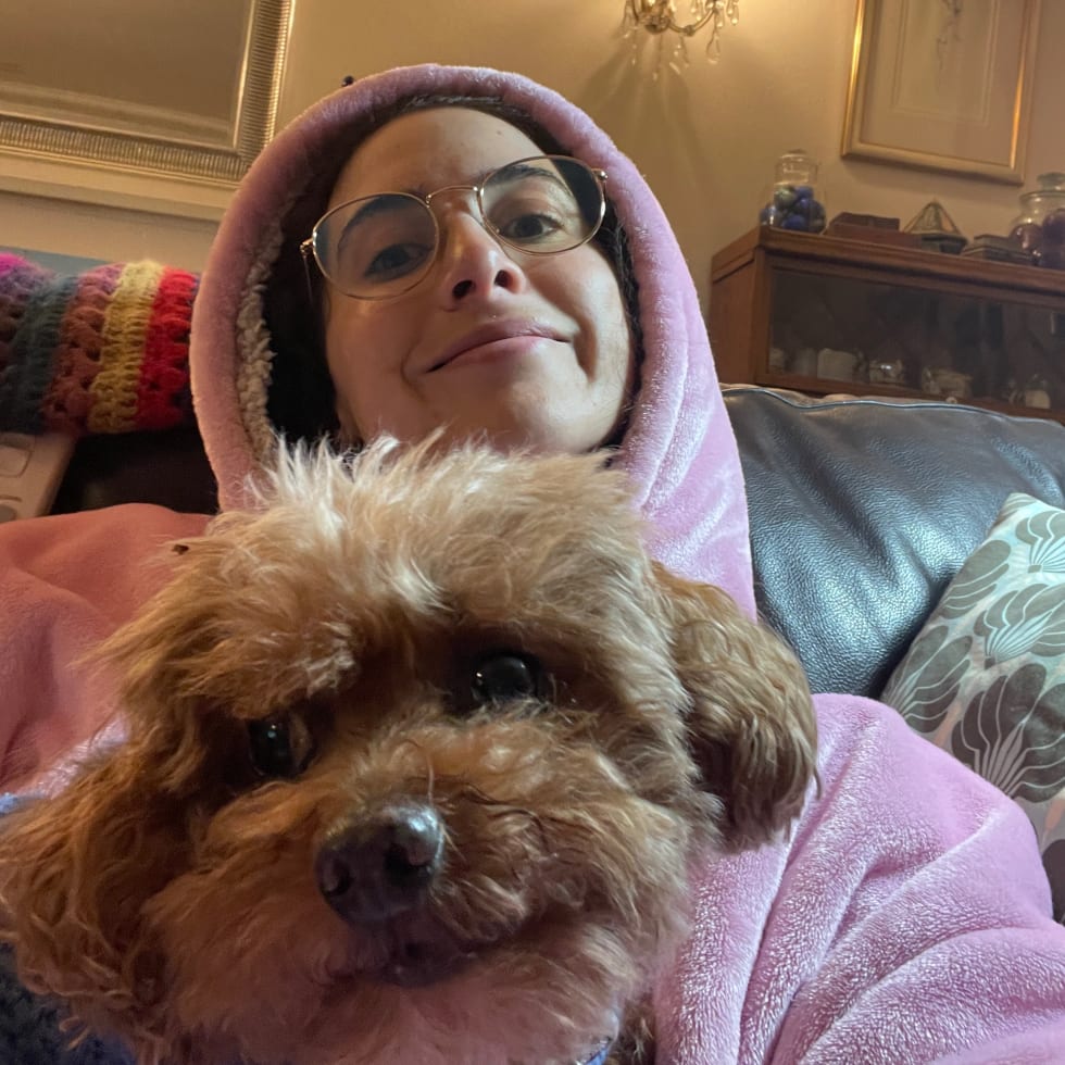 Photo in Sitter's gallery