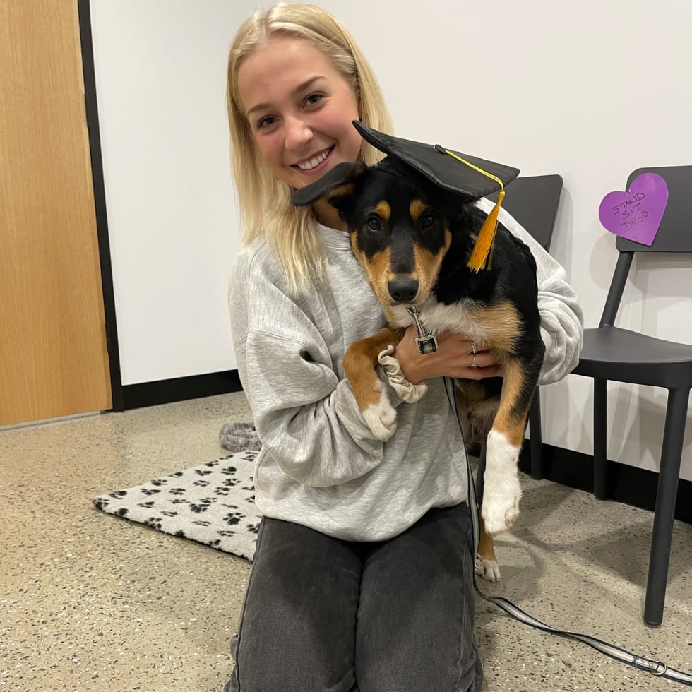 Photo in Sitter's gallery