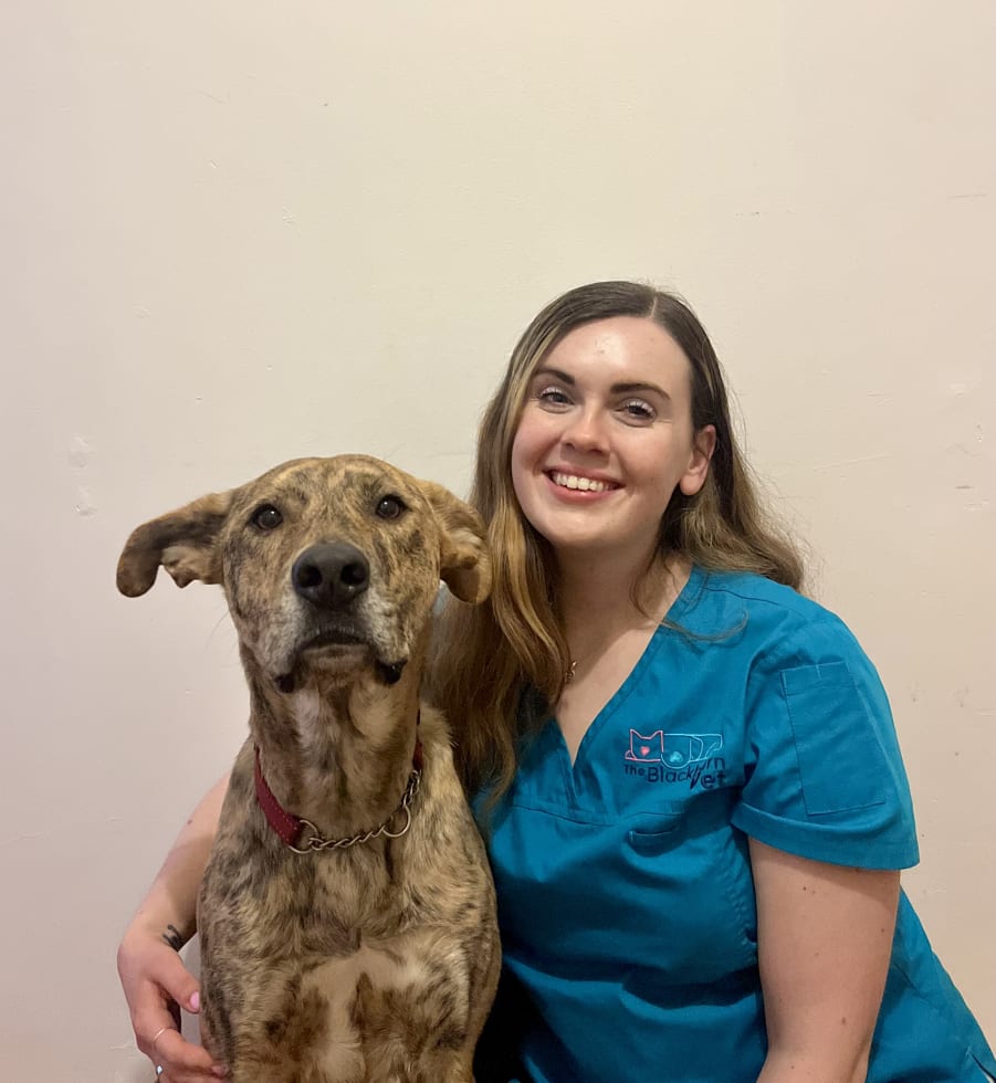 Photo in Sitter's gallery