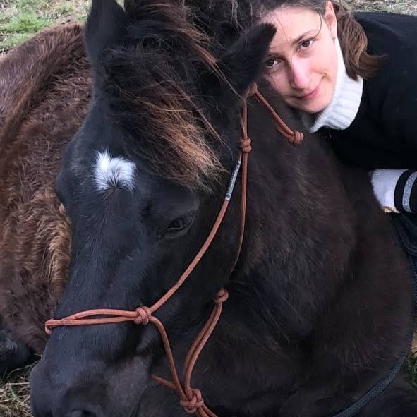 Photo in Sitter's gallery