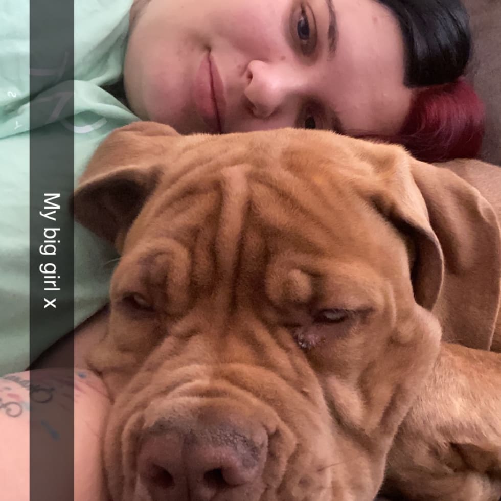 Photo in Sitter's gallery