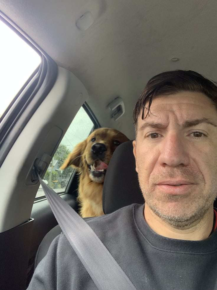 Photo in Sitter's gallery