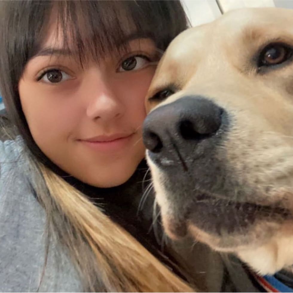 Photo in Sitter's gallery