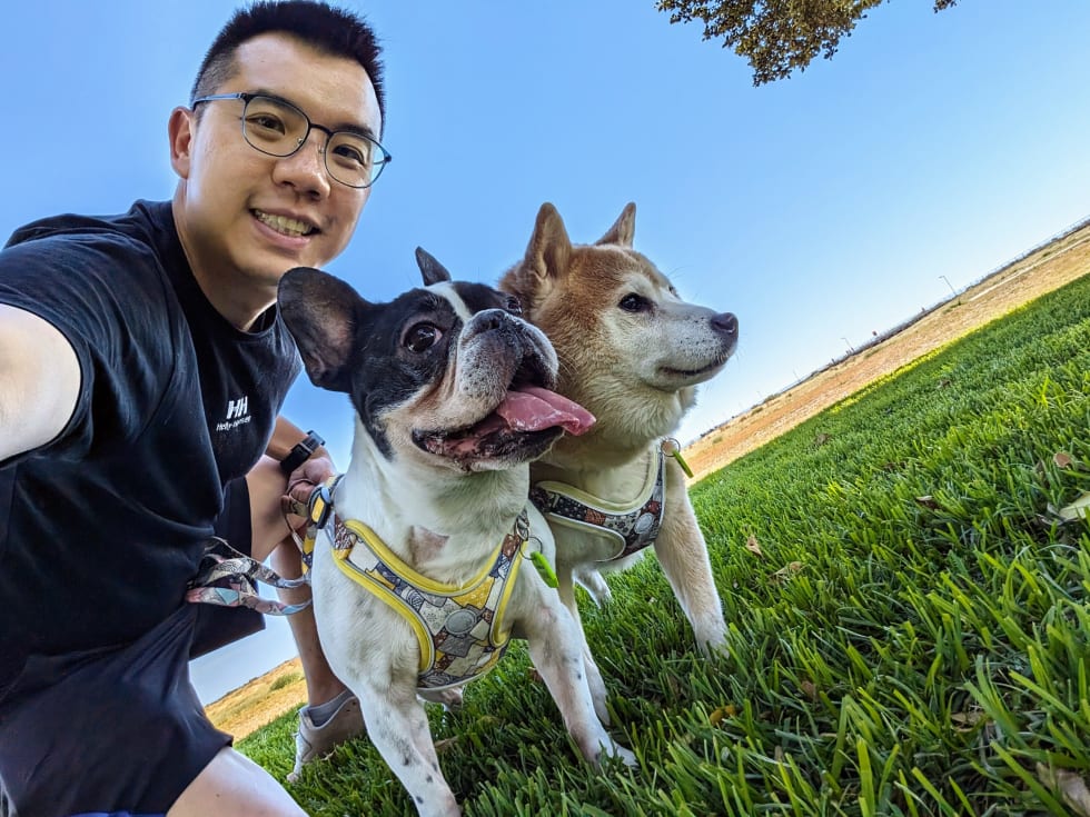 Photo in Sitter's gallery