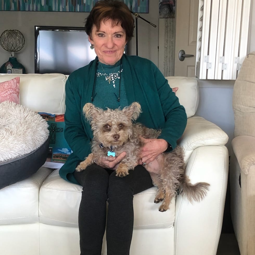 Photo in Sitter's gallery