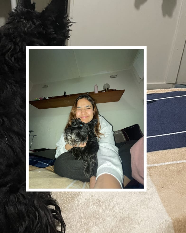 Photo in Sitter's gallery