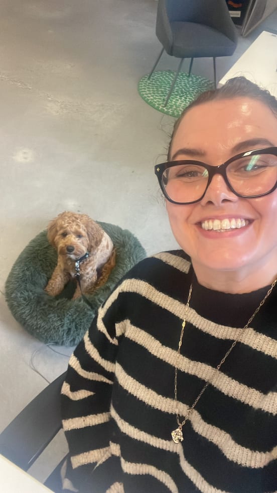 Photo in Sitter's gallery