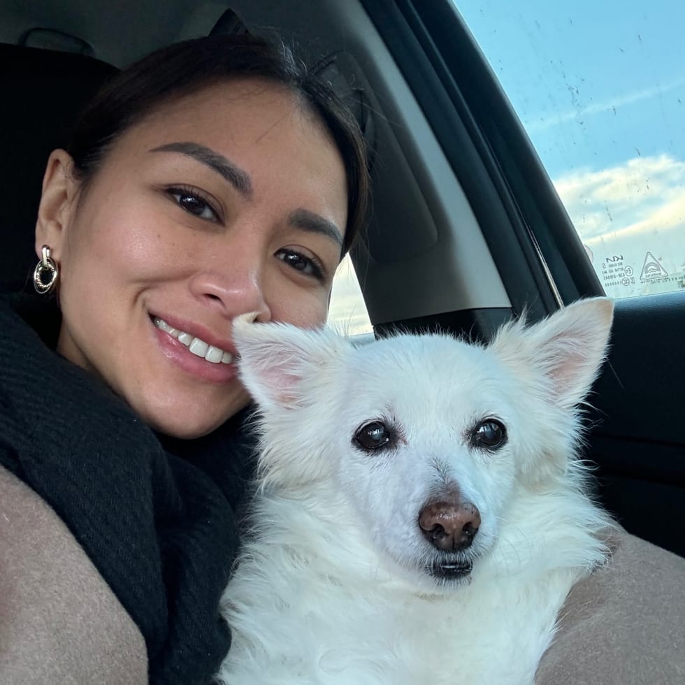 Photo in Sitter's gallery