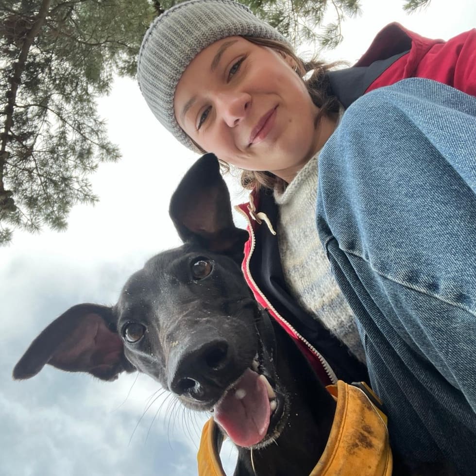 Photo in Sitter's gallery