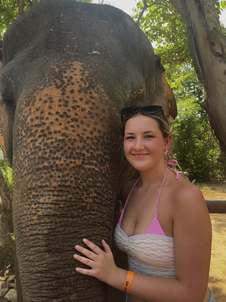 Photo in Sitter's gallery