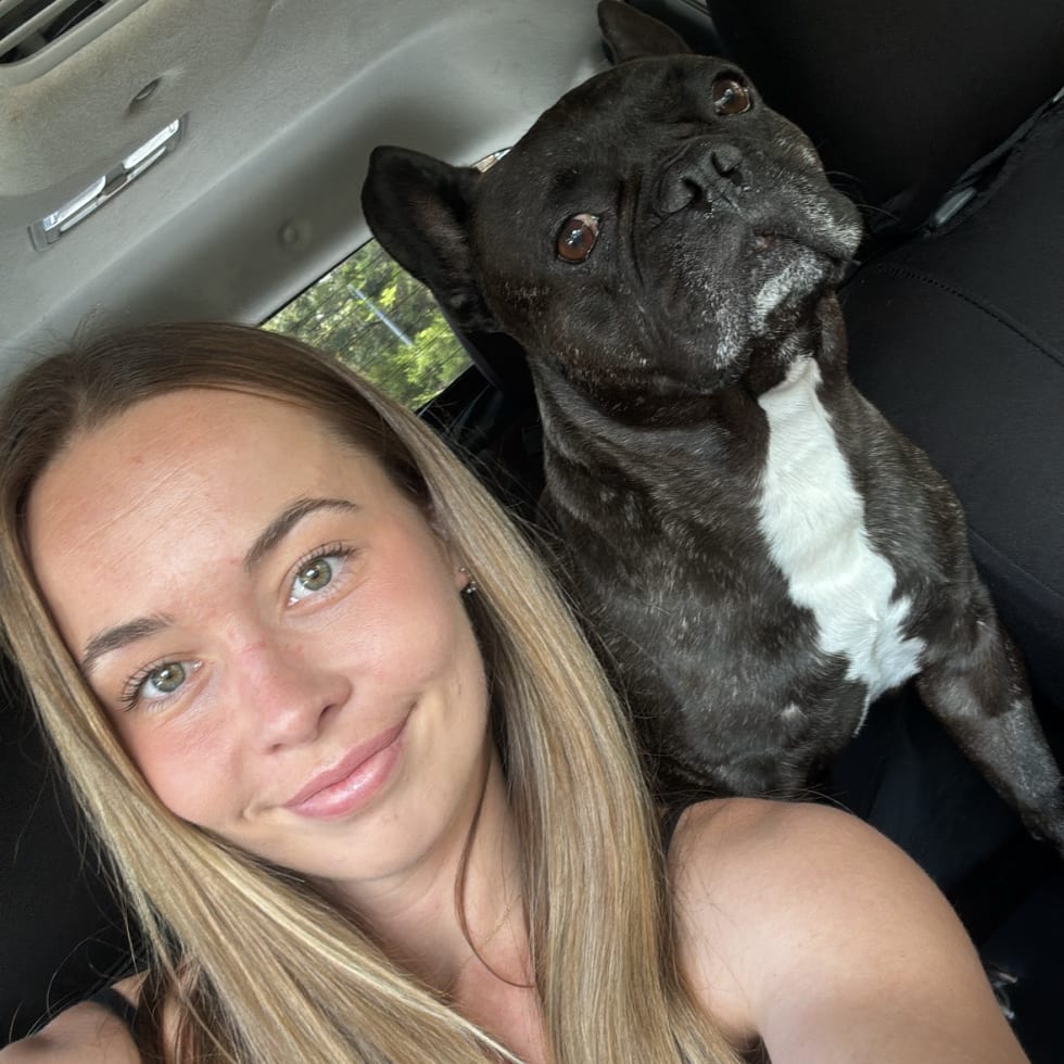 Photo in Sitter's gallery