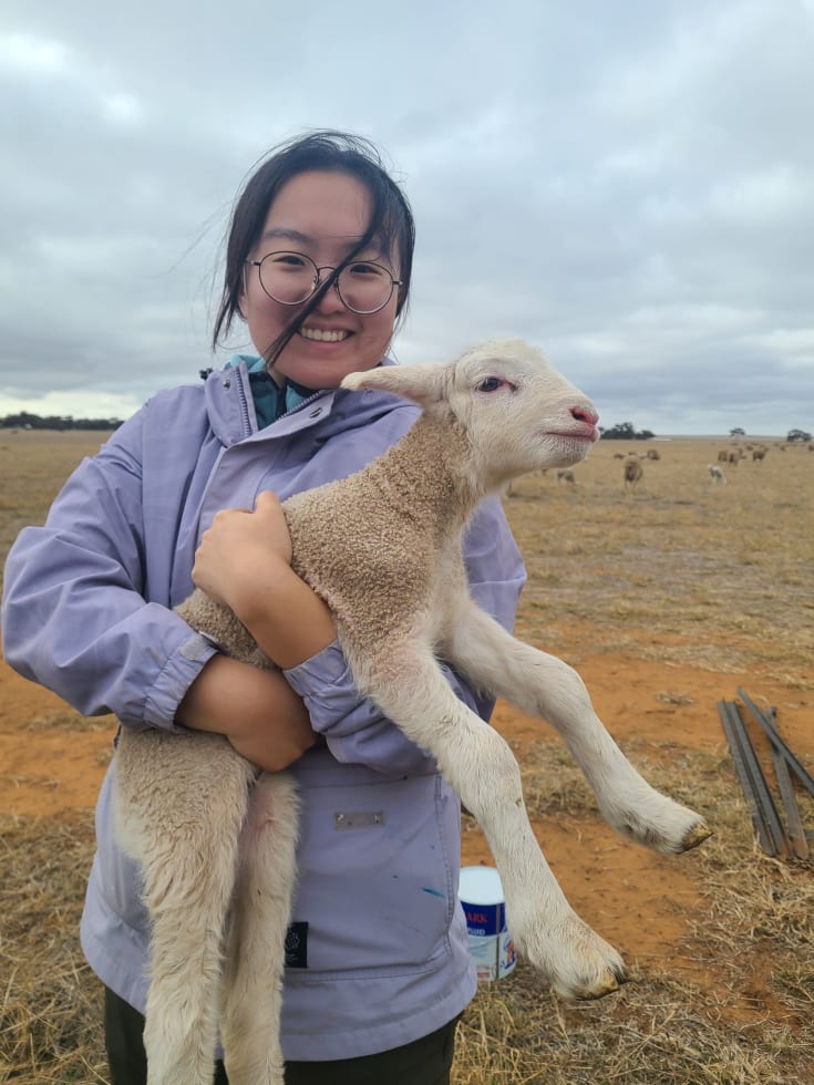 Photo in Sitter's gallery