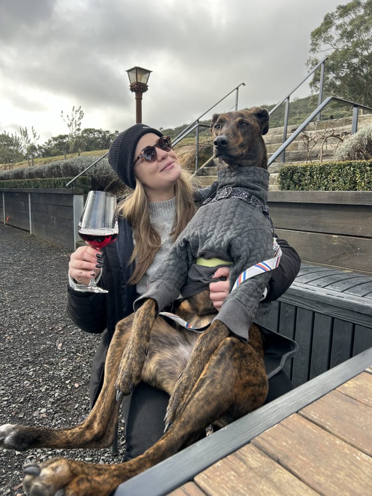 Photo in Sitter's gallery