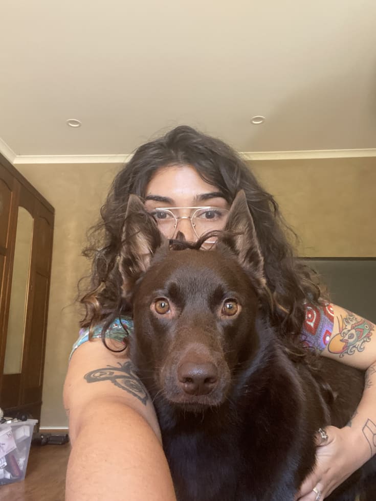 Photo in Sitter's gallery