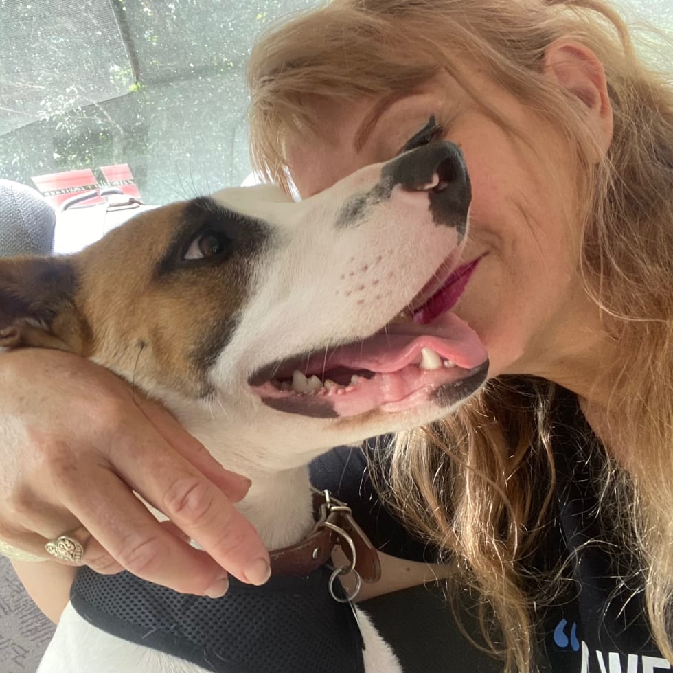 Photo in Sitter's gallery