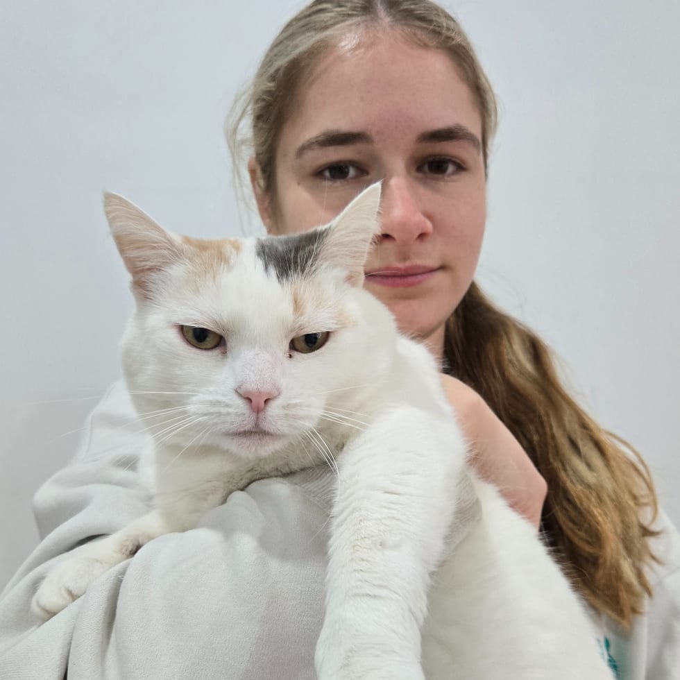 Photo in Sitter's gallery