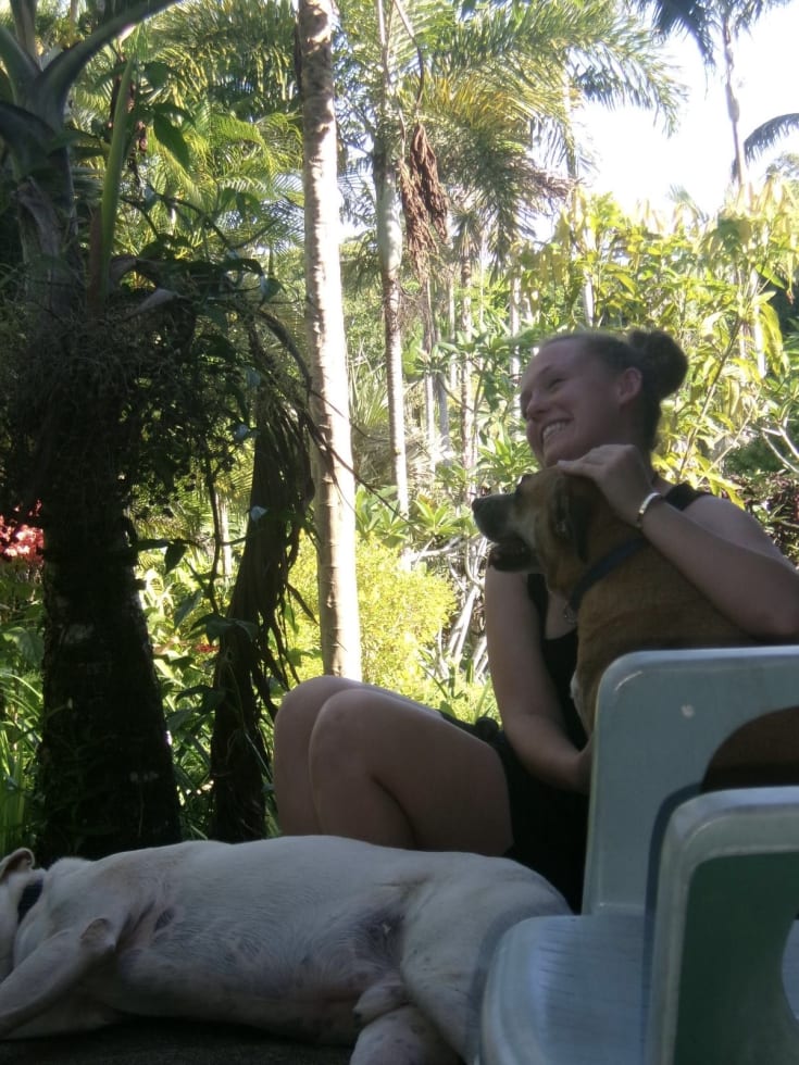 Photo in Sitter's gallery