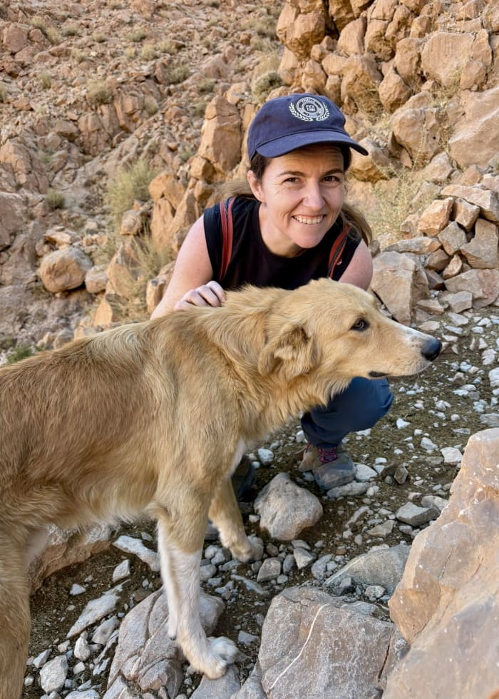 Photo in Sitter's gallery