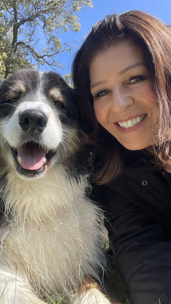 Photo in Sitter's gallery