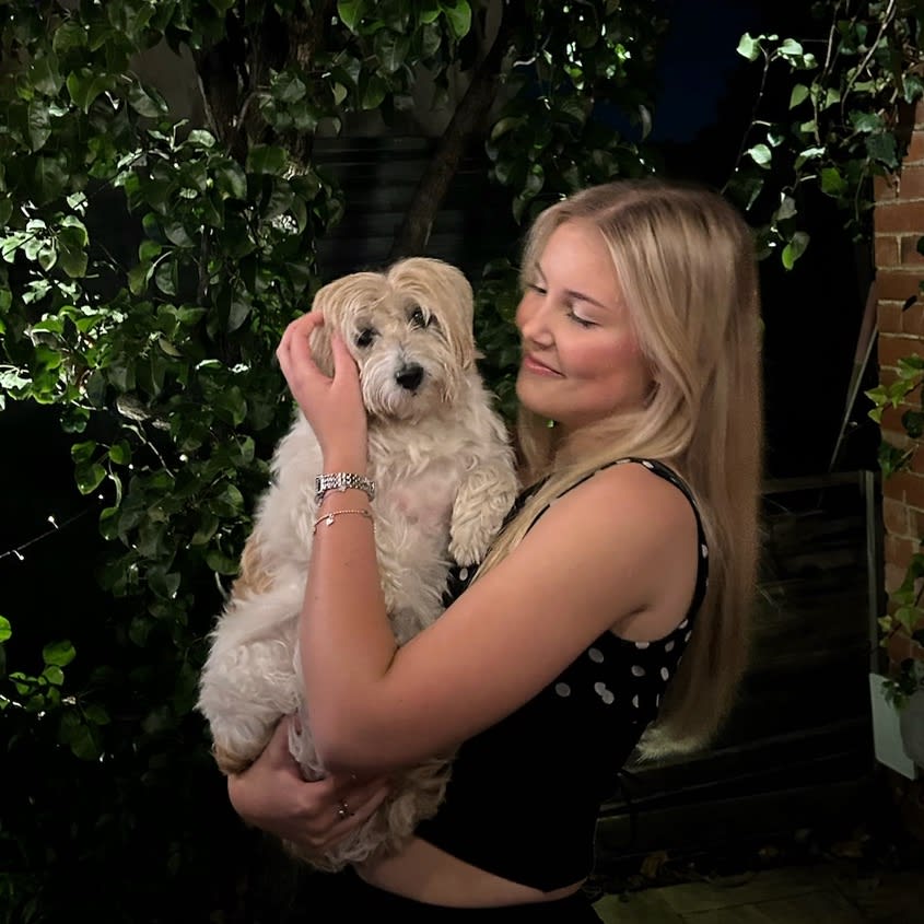 Photo in Sitter's gallery