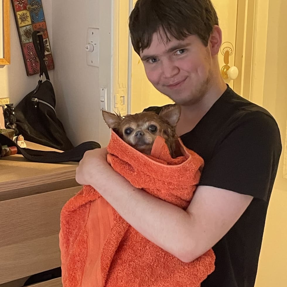 Photo in Sitter's gallery