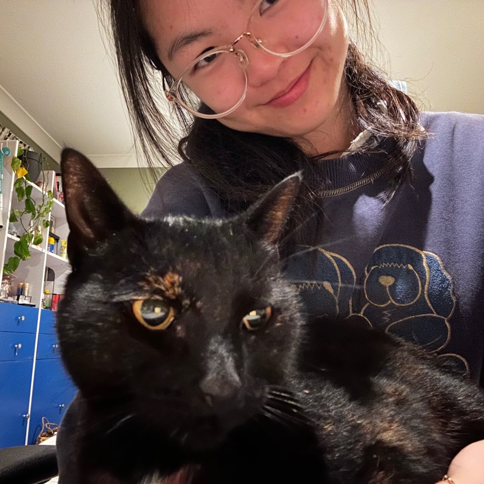 Photo in Sitter's gallery