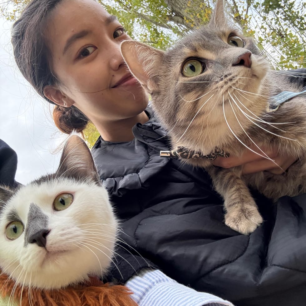 Photo in Sitter's gallery