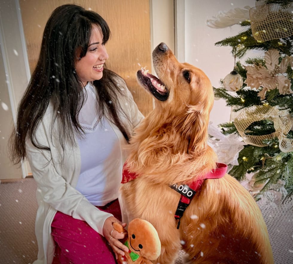 Photo in Sitter's gallery