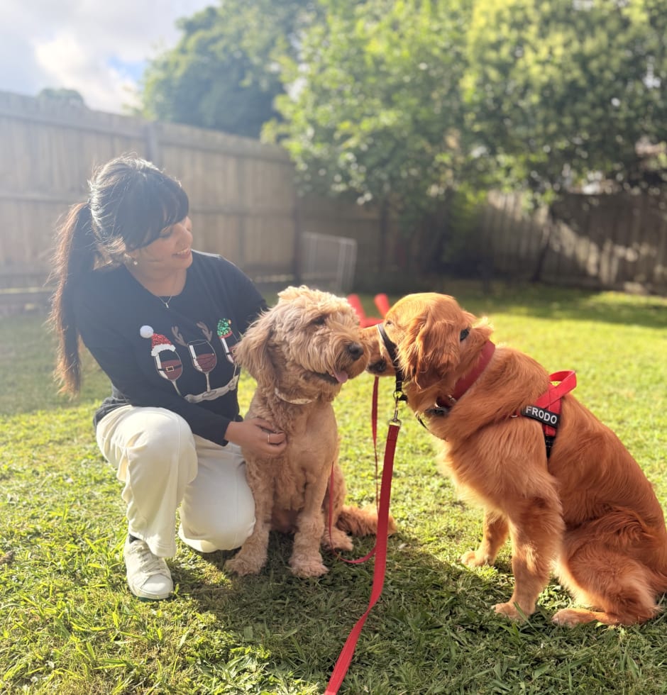 Photo in Sitter's gallery