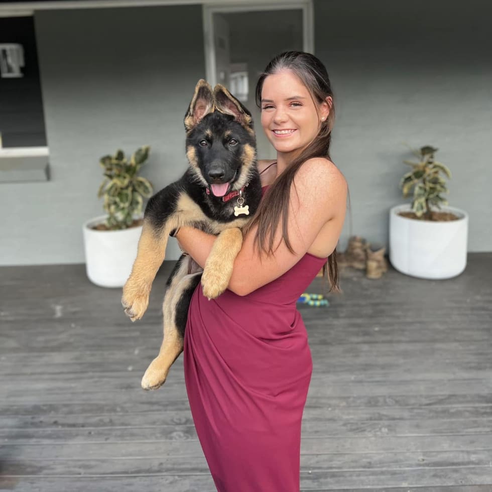 Photo in Sitter's gallery