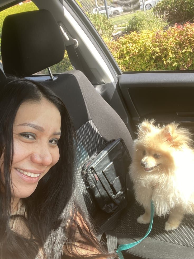 Photo in Sitter's gallery