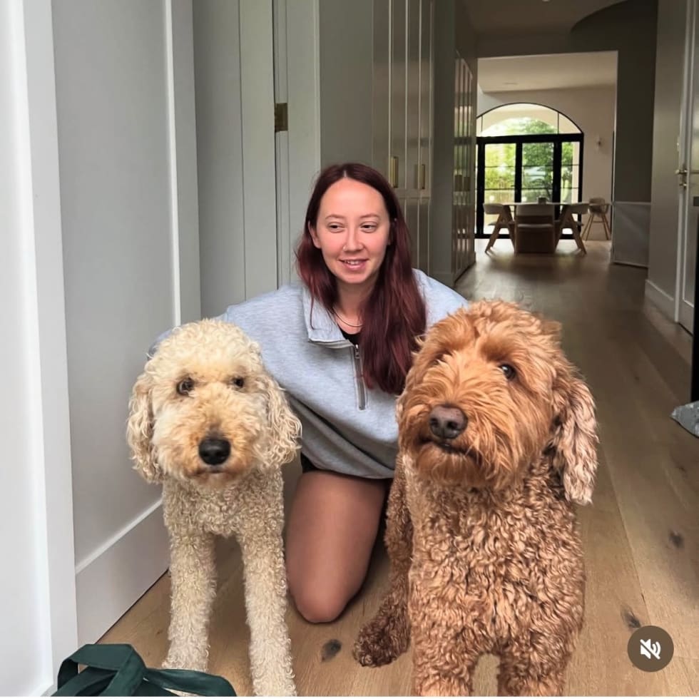 Photo in Sitter's gallery