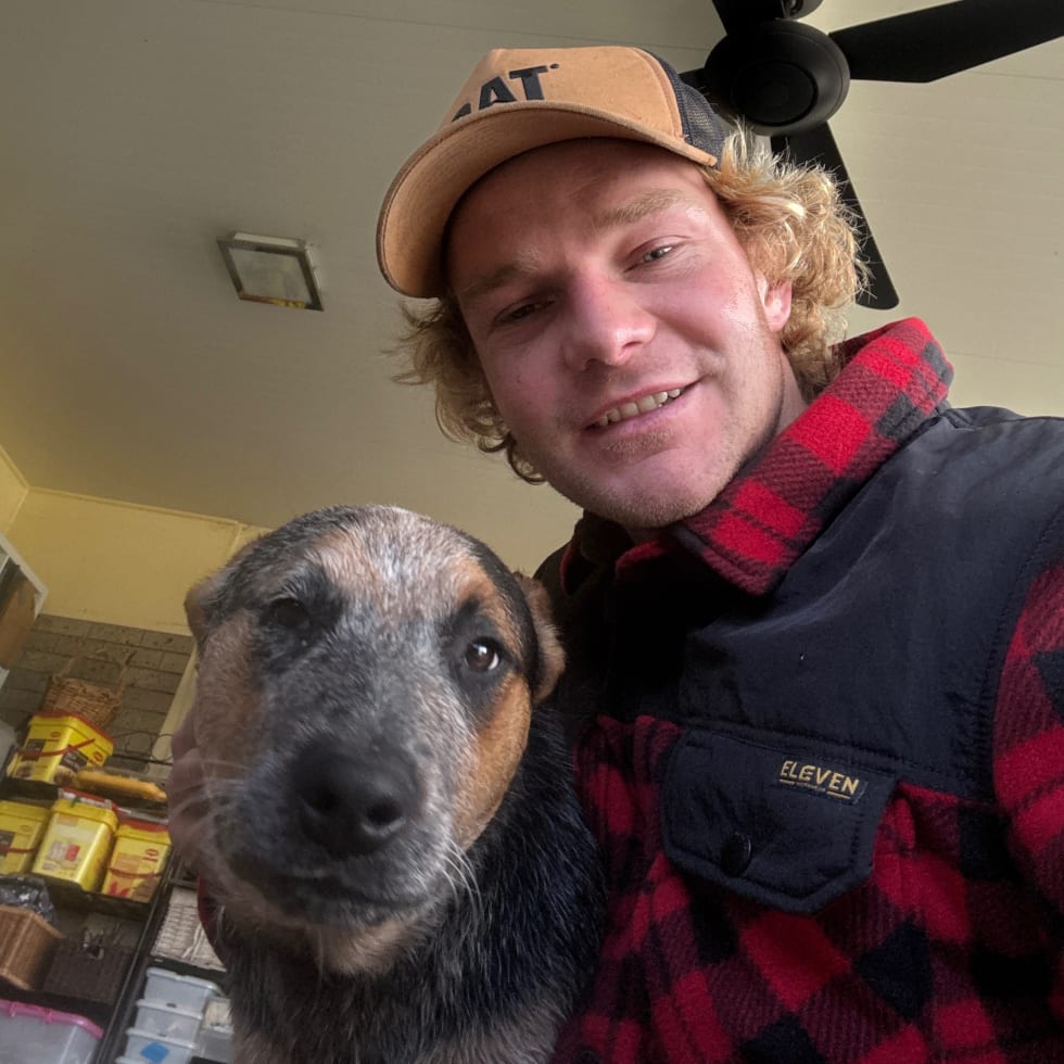 Photo in Sitter's gallery