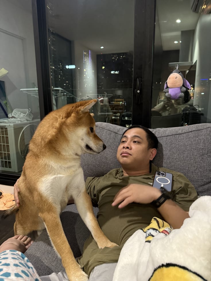 Photo in Sitter's gallery