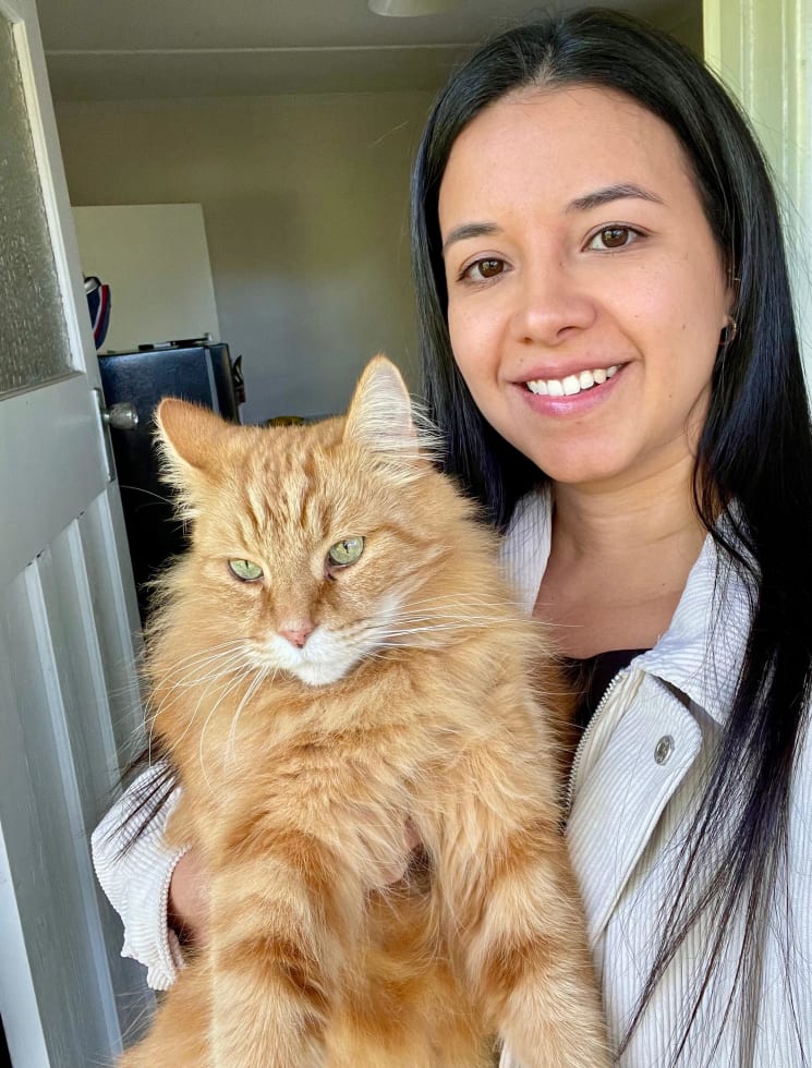 Photo in Sitter's gallery