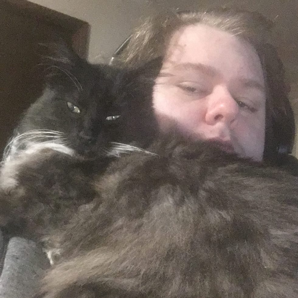 Photo in Sitter's gallery