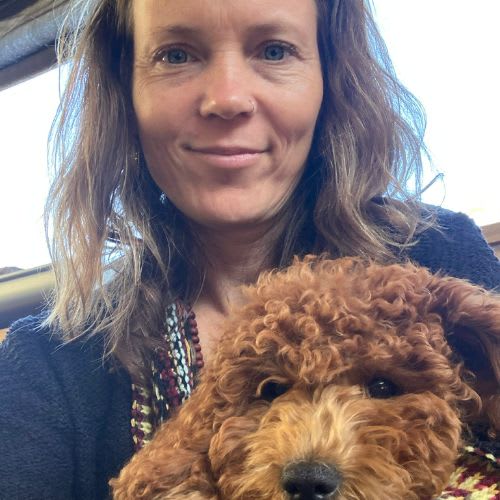 Photo in Sitter's gallery