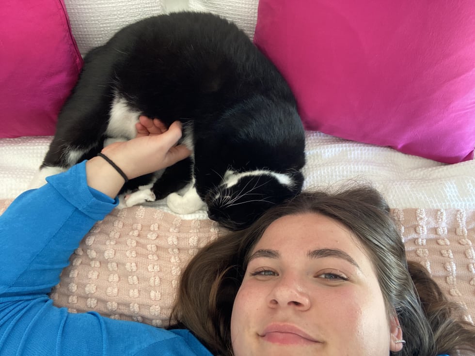 Photo in Sitter's gallery