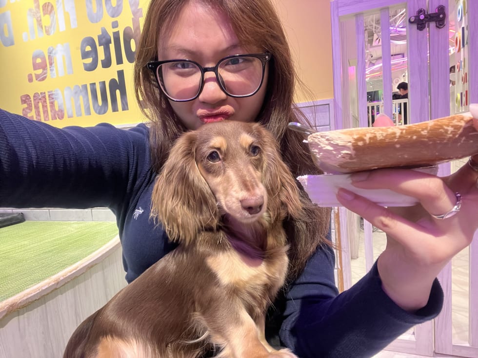 Photo in Sitter's gallery