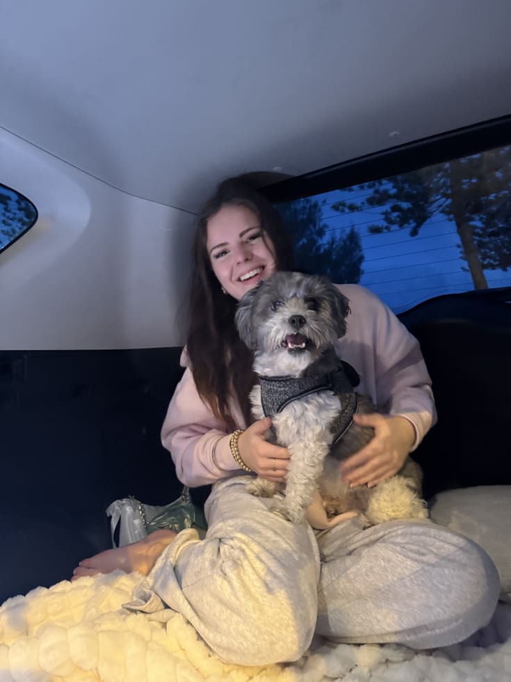 Photo in Sitter's gallery