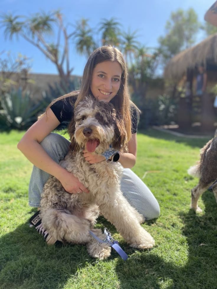 Photo in Sitter's gallery