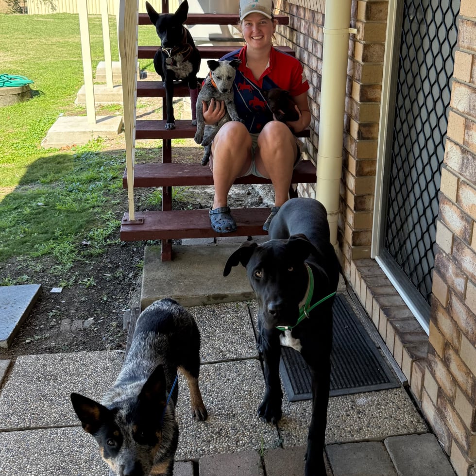 Photo in Sitter's gallery