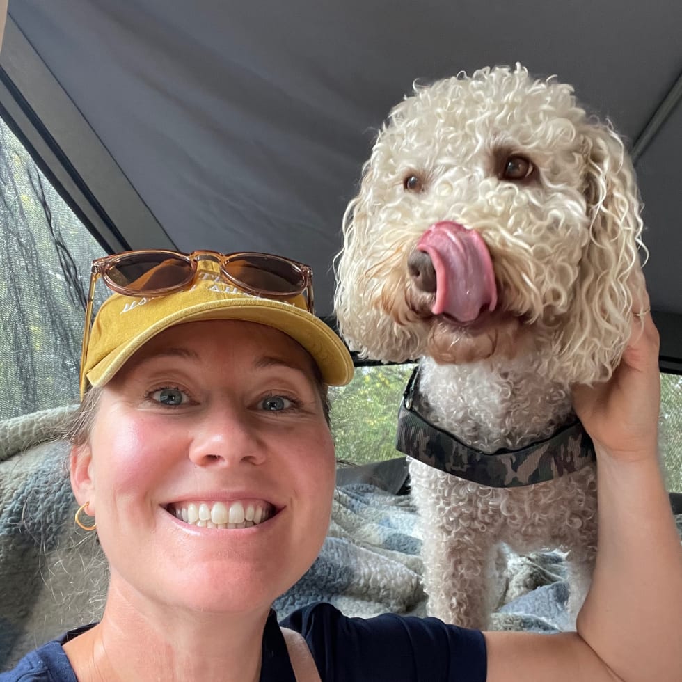 Photo in Sitter's gallery