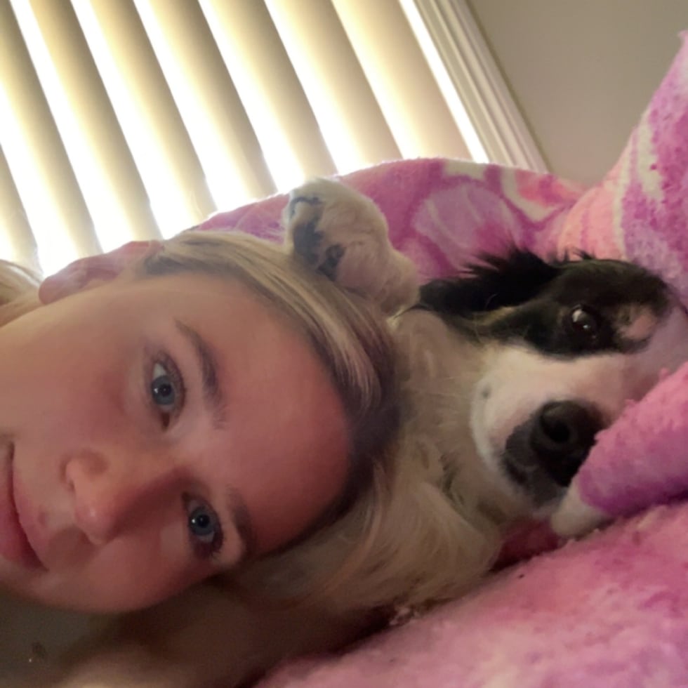 Photo in Sitter's gallery