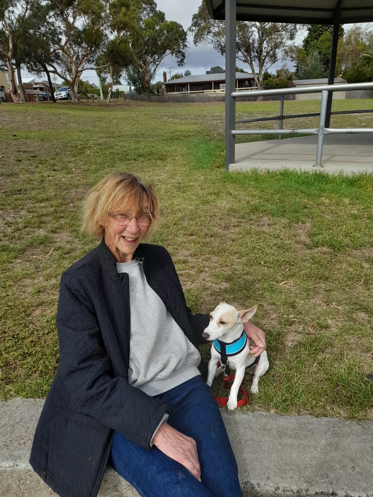 Photo in Sitter's gallery