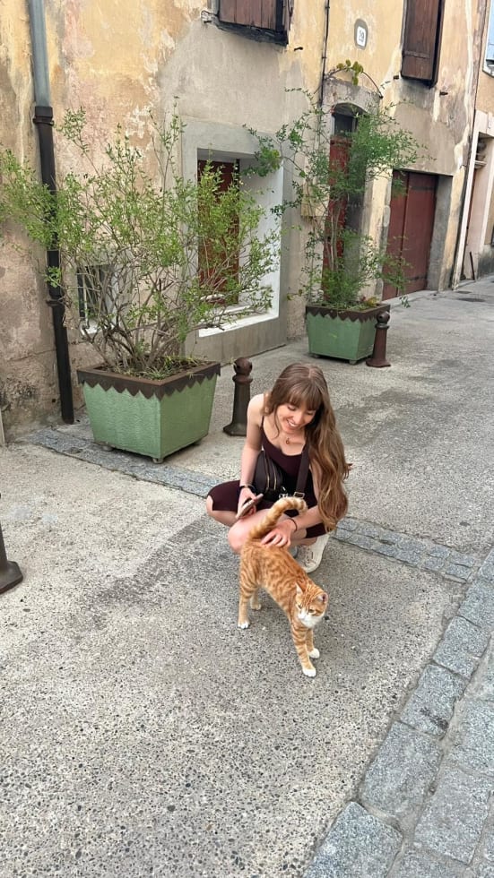 Photo in Sitter's gallery