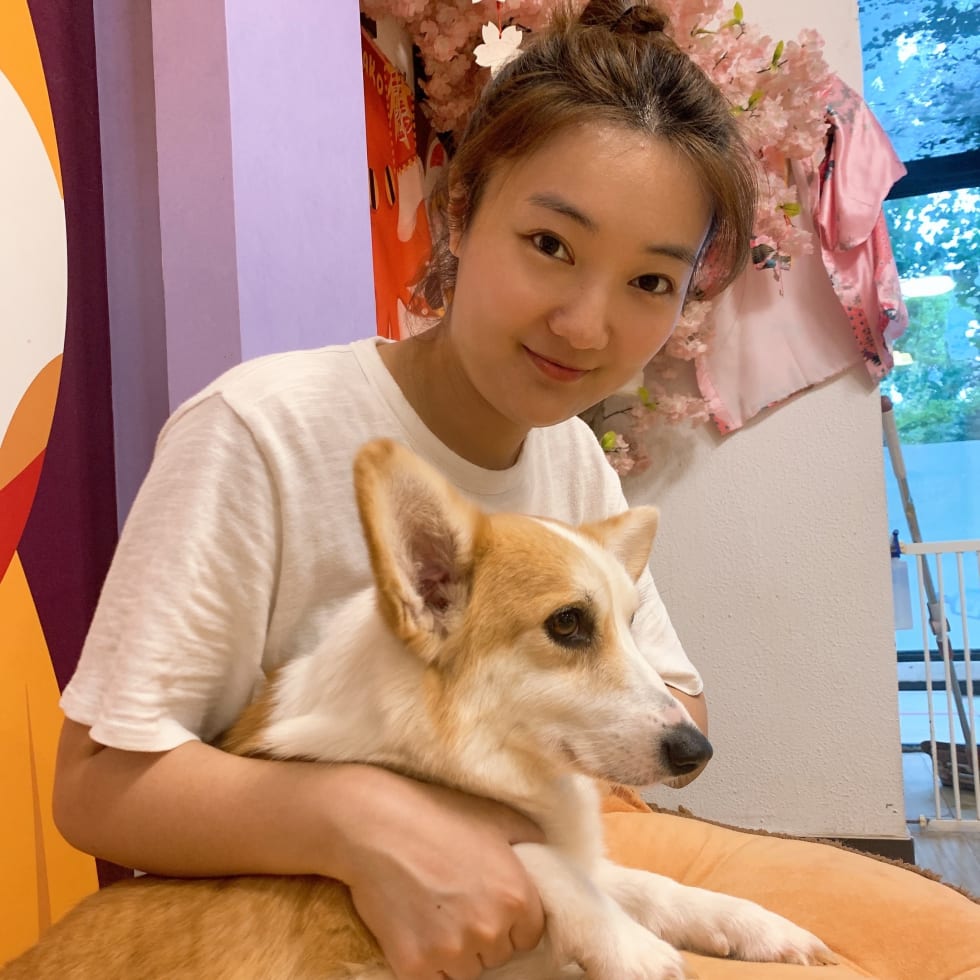 Photo in Sitter's gallery