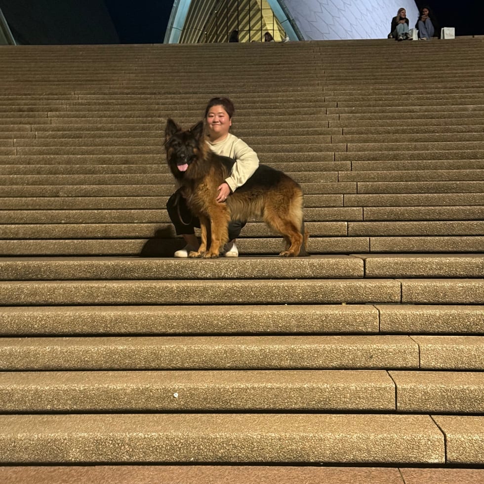 Photo in Sitter's gallery