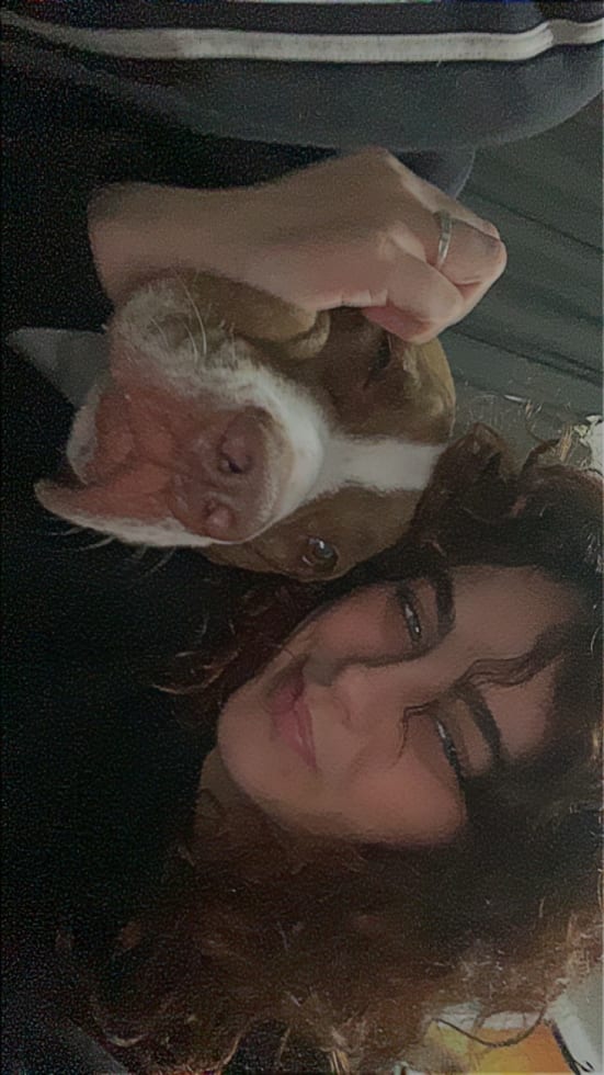 Photo in Sitter's gallery