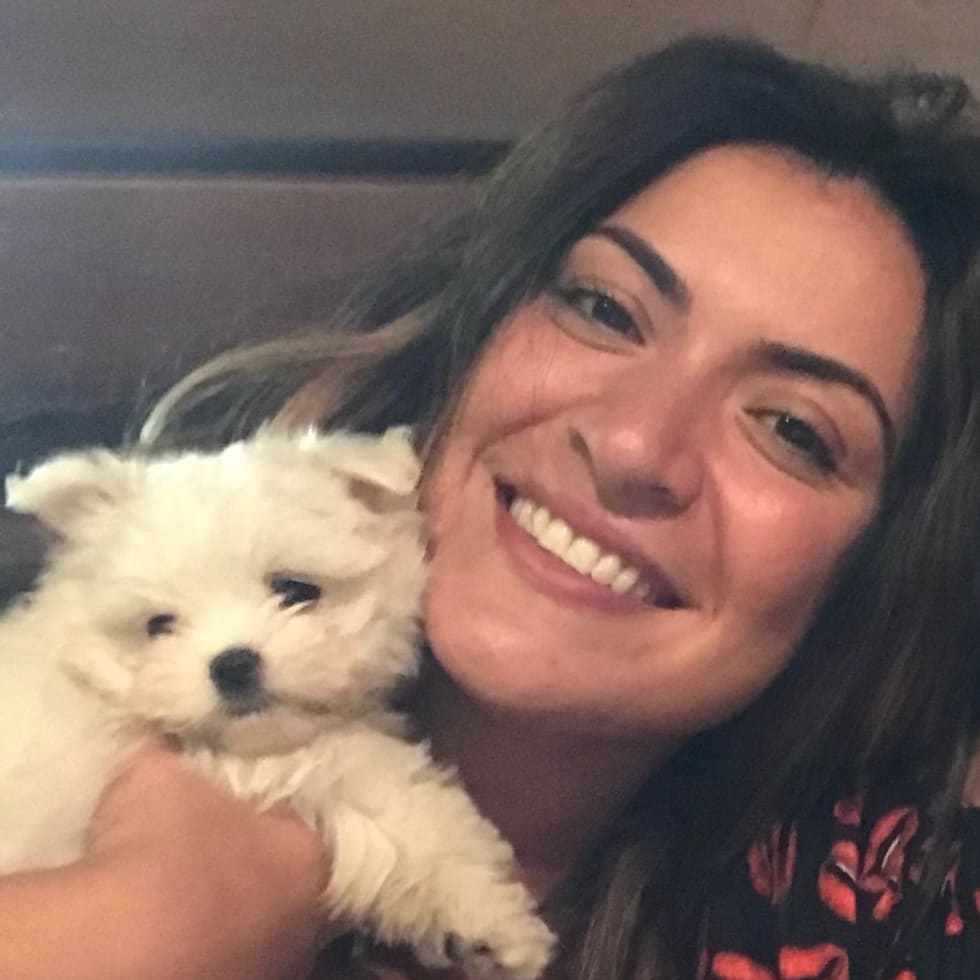 Photo in Sitter's gallery